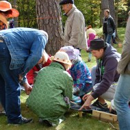 Foresta kauss Forsteros 2013