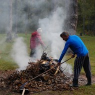 Foresta kauss Forsteros 2013