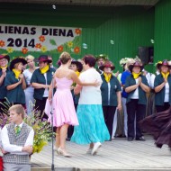 Madlienas diena 2014