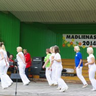 Madlienas diena 2014