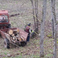 Talka Pilskalnā 2010