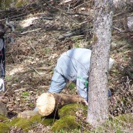 Talka Pilskalnā 2010