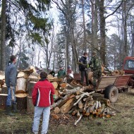 Talka Pilskalnā 2010