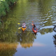 Mazliet no Foresta kausa 2015