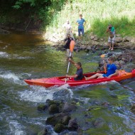 Mazliet no Foresta kausa 2015