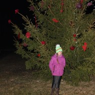 Pirmā advente Madlienā.Rozes egles iedegšana Aspazijai.