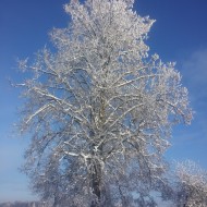 Fotokonkurss “KADRS ZIEMĀ”.