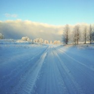 Fotokonkurss “KADRS ZIEMĀ”.