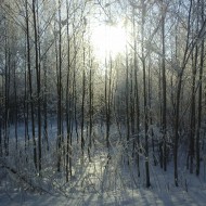 Fotokonkurss “KADRS ZIEMĀ”.