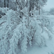 Fotokonkurss “KADRS ZIEMĀ”.