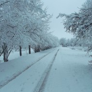 Fotokonkurss “KADRS ZIEMĀ”.