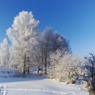 Fotokonkurss “KADRS ZIEMĀ”.