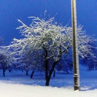 Fotokonkurss “KADRS ZIEMĀ”.