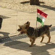 Madlienas pūtēju orķestris un dejotāji Budapeštā