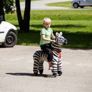 Madlienas diena 2017 (1. daļa)