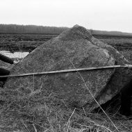 Laika pieturas – Madliena 1981