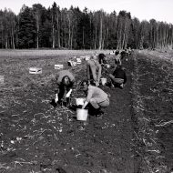 Laika pieturas – Madliena 1981